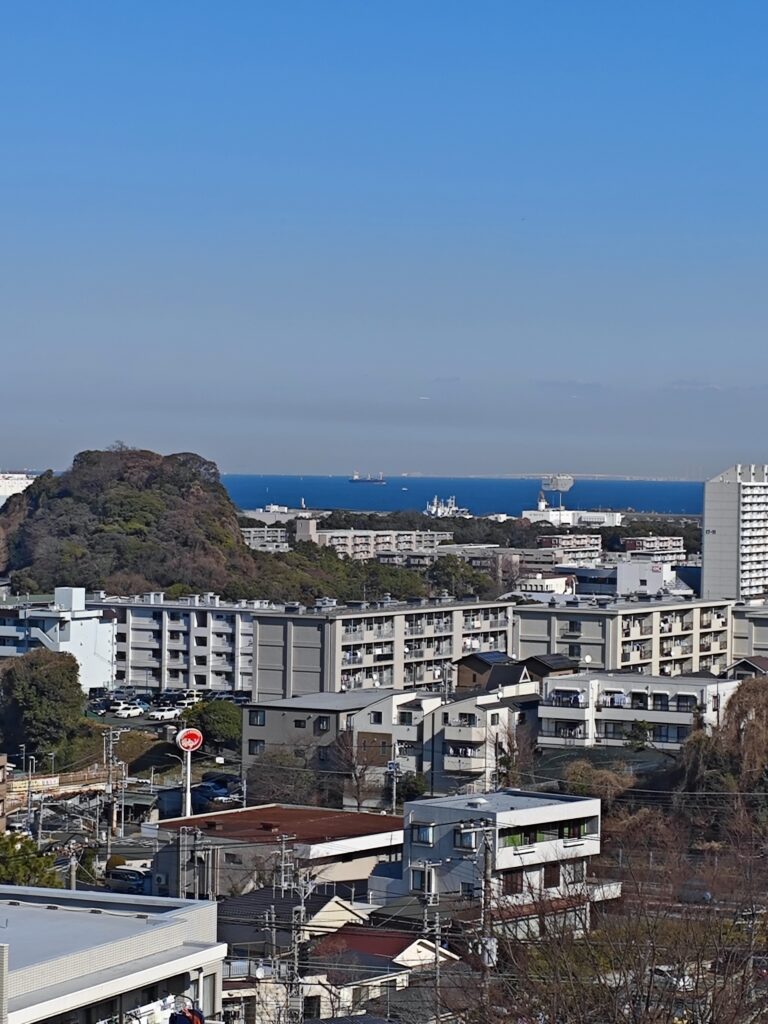 ライネスハイム京急富岡703号室