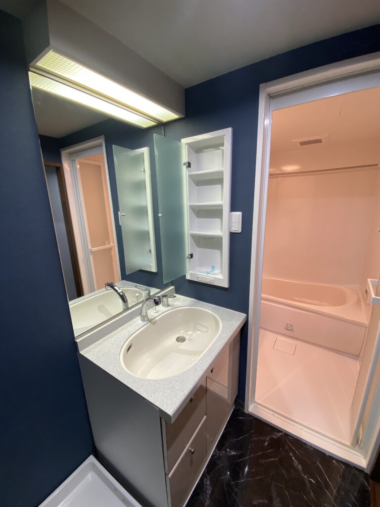 ドメス稲田堤405号室